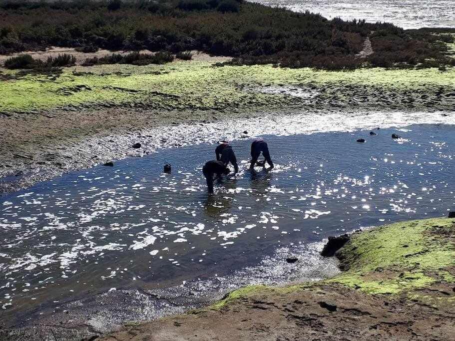 Willa Ria Formosa Pineview Dystrykt Dystrykt Faro Zewnętrze zdjęcie