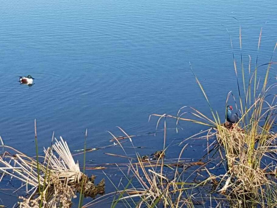Willa Ria Formosa Pineview Dystrykt Dystrykt Faro Zewnętrze zdjęcie